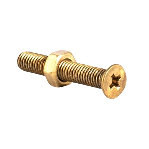Schrauben, M2 M2,5 M3 M4 M5 M6 2-in-1-Messing-Kupfer-Senkkopf-Kreuzschraubenmutter-Kombinationskreuz-Flachkopfschrauben-Sechskantmutter-Sets(M6x10mm 10Sets) von RFDRR