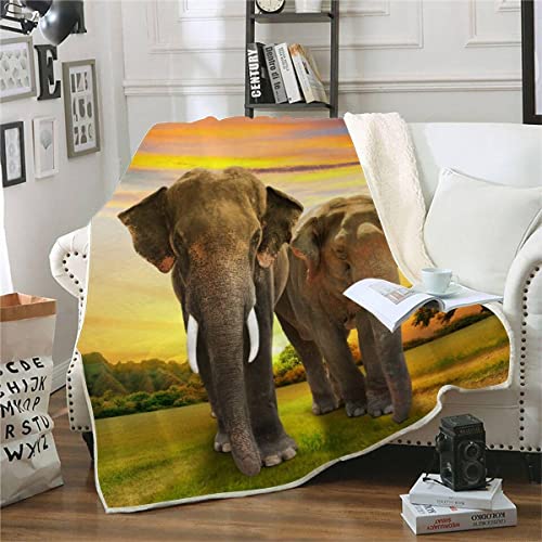 RFFLUX 3D Elefant Kuscheldecke 150x200cm Warmer Winter Weich Sonnenuntergang Natur Tiere Decke Microfaser Sherpa Wohndecke Flauschige Couchdecke für Erwachsene Weihnachten Geschenk Blanket von RFFLUX