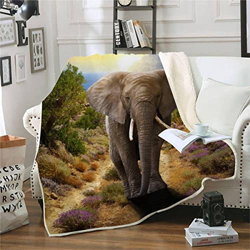 RFFLUX 3D Elefant Kuscheldecke 150x200cm Warmer Winter Weich Spaß Natur Tiere Decke Microfaser Sherpa Wohndecke Flauschige Couchdecke für Erwachsene Weihnachten Geschenk Blanket von RFFLUX