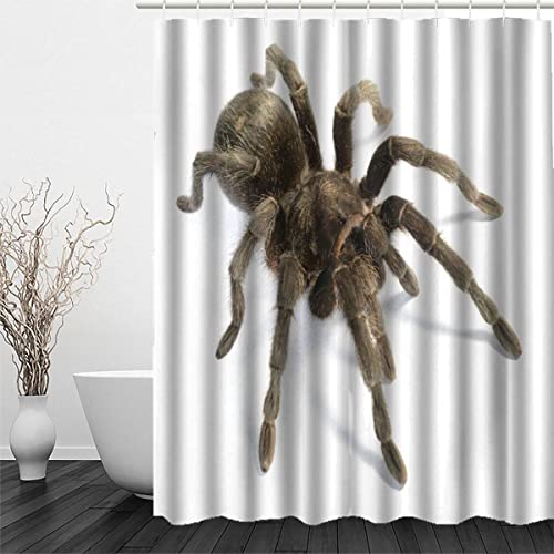 RFFLUX 3D Spinne Design Duschvorhang Anti Schimmel 180 x 200 cm mit 12 Ringe Polyester Persönlichkeit Tier Duschvorhänge Anti-Bakteriell Waschbar Wasserdicht Badvorhänge für Badezimmer von RFFLUX