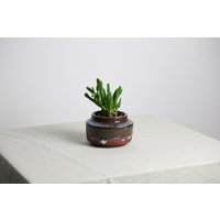 Handgefertigter Blumentopf | Ø 11 cm Aus Keramik in Grün-Braun Und Rot Handgefertigter Blumentopf | Ø 11 cm Aus Keramik in Grün-Braun Und Rot von RFeldmannEntwurf