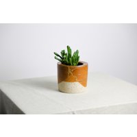 Handgefertigter Pflanztopf/Vase | Ø 11 cm Aus Keramik in Beige Und Braun Handgefertigter Pflanztopf/Vase | Ø 11 cm Aus Keramik in Beige Und Braun von RFeldmannEntwurf