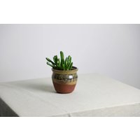 Handgefertigter Pflanztopf/Vase | Ø 9, 5 cm Aus Keramik in Braun Und Rot Handgefertigter Pflanztopf/Vase | Ø 9, 5 cm Aus Keramik in Braun Und Rot von RFeldmannEntwurf