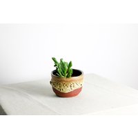 Handgefertigter Pflanztopf | Ø 11, 5 cm Aus Keramik in Braun Und Rot Handgefertigter Pflanztopf | Ø 11, 5 cm Aus Keramik in Braun Und Rot von RFeldmannEntwurf