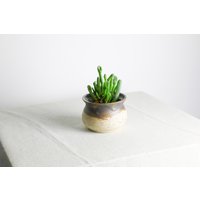 Handgefertigter Pflanztopf | Ø 11 cm Aus Keramik in Beige Und Braun von RFeldmannEntwurf