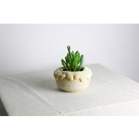 Handgefertigter Pflanztopf | Ø 12, 5 cm Aus Keramik Mit Lava-Glasur in Weiß Und Beige von RFeldmannEntwurf