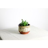 Handgefertigter Pflanztopf | Ø 12, 5 cm Aus Keramik in Braun Und Rot von RFeldmannEntwurf