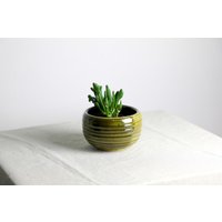 Handgefertigter Pflanztopf | Ø 12, 5 cm Aus Keramik in Grün Und Braun von RFeldmannEntwurf