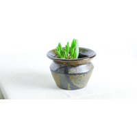 Handgefertigter Pflanztopf | Ø 12, 5 cm Aus Keramik in Schwarz Und Braun von RFeldmannEntwurf