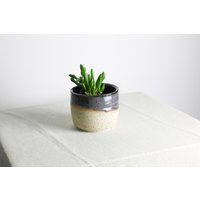 Handgefertigter Pflanztopf | Ø 12 cm Aus Keramik in Grau Und Beige von RFeldmannEntwurf