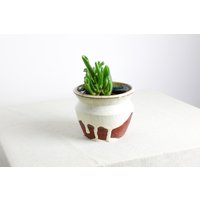 Handgefertigter Pflanztopf | Ø 12 cm Aus Keramik in Weiß Und Rot von RFeldmannEntwurf