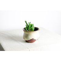 Handgefertigter Pflanztopf | Ø 12 cm Aus Keramik in Weiß Und Rot von RFeldmannEntwurf