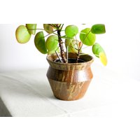 Handgefertigter Pflanztopf | Ø 14, 5 cm Aus Keramik in Braun Und Beige von RFeldmannEntwurf