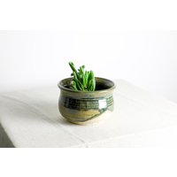Handgefertigter Pflanztopf | Ø 14 cm Aus Keramik in Grün Und Beige von RFeldmannEntwurf