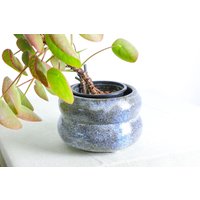 Handgefertigter Pflanztopf | Ø 15, 5 cm Aus Keramik in Weiß-Blau Und Braun von RFeldmannEntwurf