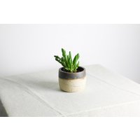 Handgefertigter Pflanztopf | Ø 9, 5 cm Aus Keramik in Beige Und Braun von RFeldmannEntwurf