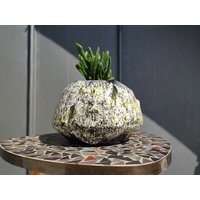 Roboter Blumentopf/Vase | Ø 16 cm Aus Keramik in Gelb, Weiß Und Schwarz von RFeldmannEntwurf