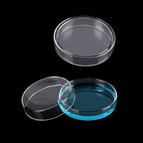 Probenbox aus Borosilikatglas – runde Aufbewahrungsbehälter (60/75/90/100/120/180 mm) for den Laborgebrauch(42 * 35 * 1.8 * 15mm*10PCS) von RGALIYAO