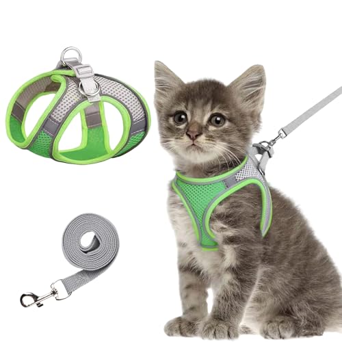 Anti-Escape Haustiergurt + mit Zugseil, Anti-Escape Verstellbarer Haustiergurt mit reflektierendem Streifen, sicher und bequem in der Nacht, geeignet für Katzen und Hunde, mit Glocke, Grün (XXS) von RHBTH