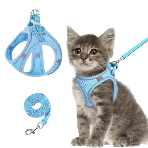 Anti-Escape Haustiergurt + mit Zugseil, Anti-Escape Verstellbarer Haustiergurt mit reflektierendem Streifen, sicher und bequem in der Nacht, geeignet für Katzen und Hunde, mit Glocke, blau (XXS) von RHBTH