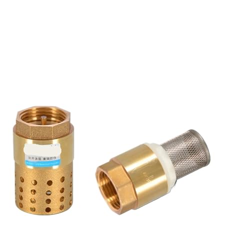 1 Stück 1/2 Zoll 3/4 Zoll 1 Zoll 2 Zoll BSPP Innengewinde Messing Rückschlagventil Rückschlagventil mit Stahlfilter DN15 DN25 DN40 for Wasserpumpe(1-1l2 copper) von RHFYBSQA