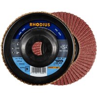 Rhodius Abrasives - rhodius lsa P1, 10 Stück, 125 mm, Korn 60, Fächerschleifscheibe von RHODIUS ABRASIVES