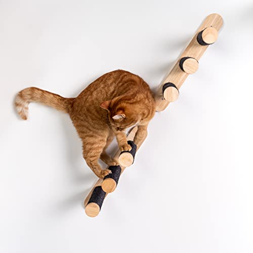 RHRQuality Katze Katzentreppe Set (2 stück) Kletterwand Wandmontage (Bis 20KG) 41 x 21,5 cm für große Katzen (Blackline) von RHRQUALITY