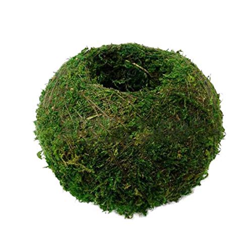 RHSH übertöpfe Simulation Moos Ball Blumentopf DIY Form Gartenarbeit Gepasste Sukkulente Pflanzer Topf Home Micro Landschaft Persönlichkeit Dekoration Blumentöpfe (Size : 12cm) von RHSH