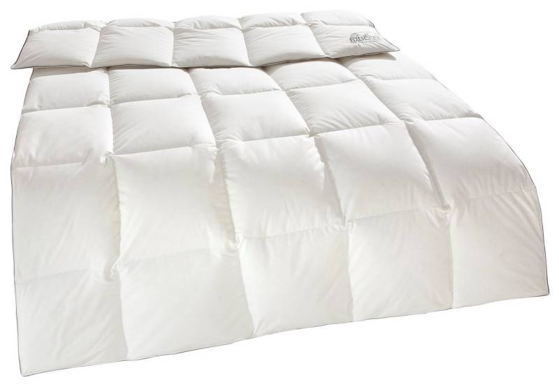 RIBECO Daunenbettdecke Eve, Füllung: 90% Daunen, 10% Federn, Bezug: 100% Baumwolle, Jubiläumsedition RIBECO Daunenbettdecke Eve, Füllung: 90% Daunen, 10% Federn, Bezug: 100% Baumwolle, Jubiläumsedition von RIBECO