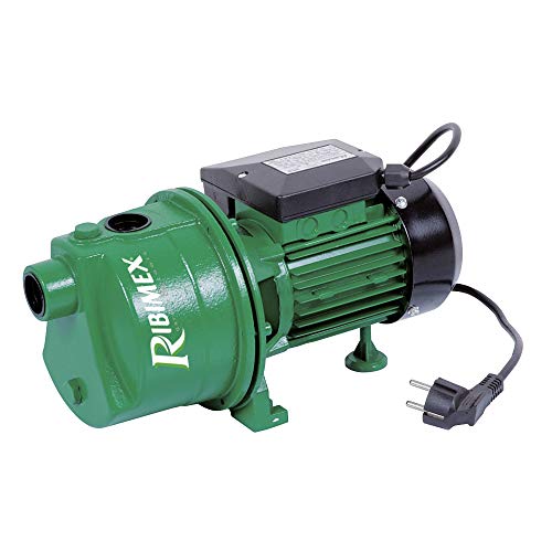 Gartenpumpe Jetpumpe (mit 600 Watt) von RIBIMEX