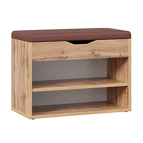 RICOO Schuhbank mit Sitzfläche & Stauraum Aufklappbar 60x42x30cm Eiche Braun Pressholz, Schuhregal WM032-EW-B Schuhschrank mit Sitzbank Flur Bank mit Schuhablage Garderobenbank Sitzbänke & Truhen von RICOO