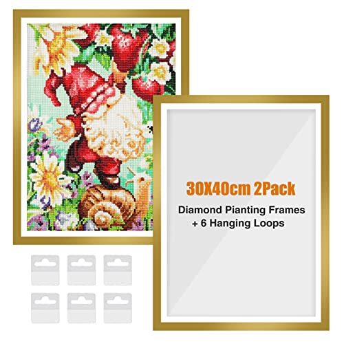 RICUVED 2 Packungen Diamant Painting Rahmen Gold, Diamond Painting Bilderrahmen 30x40 cm, 5D Diamond Painting Rahmen Picture for Diamant Malerei 30x40 cm Diamond Painting Frame mit Haken(Gold) von RICUVED