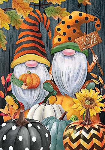 RICUVED Gnome Diamond Painting Set, 5D Diamond Painting Herbst Bilder Erwachsene Kürbis Diamant Painting Kinder Zwerge Diamond Painting Kits Cross Stickerei Malerei Büro Room Wand Decor 30x40cm von RICUVED