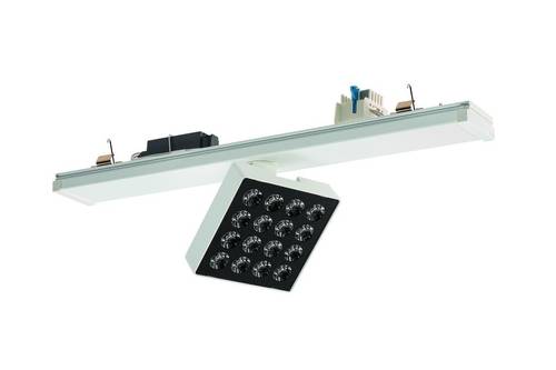 RIDI 0321896//691 LED-Modul 1St. von RIDI