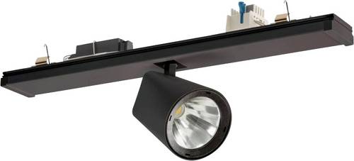 RIDI 0321979SW691 LED-Modul 1St. von RIDI