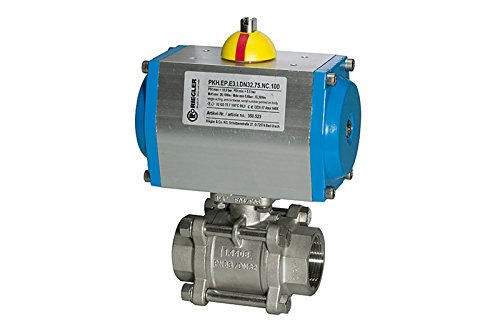 RIEGLER 103608-350.522 ES-Kuha, pneumat. Stellantrieb, einfachwirkend, Rp 1, DN 25, 1Stk RIEGLER 103608-350.522 ES-Kuha, pneumat. Stellantrieb, einfachwirkend, Rp 1, DN 25, 1Stk von Riegler