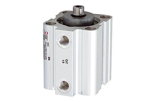 RIEGLER 105962-3.EMF.40010 Kurzhubzylinder, einfachwirk, Magnet, Kolben-Ø 40, Hub 10, G 1/8, 1Stk von Riegler