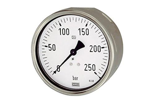 RIEGLER 102062-606 Manometer, Robustausf., G 1/2 hinten exzentr., 0-10,0 bar, Ø 100, 1Stk von Riegler