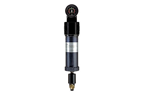 RIEGLER 101564-430.2309 Mikrofilter mit Differenzdruckmanometer, 0,01 µm, G 1, 1Stk von Riegler