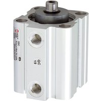 [NEUWERTIG] B-Ware Riegler Kurzhubzylinder Zylinder Magnet Kolben 25mm Hub 10mm G1/8 Doppeltwirkend von RIEGLER