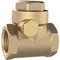 [NEUWERTIG] Riegler Rückschlagklappe Ventil Rückfluss Dn50 Messing G2 Wasser Flüssige Medien B-Ware von RIEGLER