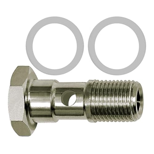 RIEGLER 110446-60.038 ES Hohlschraube, PTFE-Dichtring, einfach, G 3/8, Edelstahl 1.4404, 1Stk von Riegler