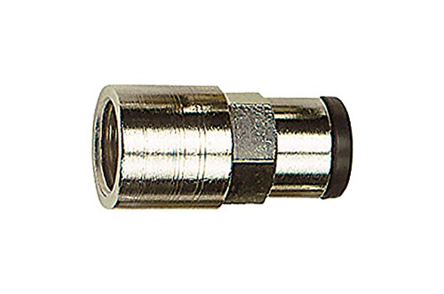 Riegler 108573 Gerade Steckverschraubung "click-clock" G 1/8 i., Schlauch-Außendurchmesser Ø5 von Riegler