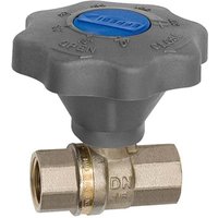 Riegler - Kugelhahn, Feineinstellung, Messing vernickelt/blank, Rp 2 von RIEGLER