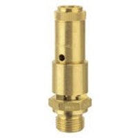 Sicherheitsventil DN10, Messing, g 1/2, Ansprechdruck 0,55 bar - Riegler von RIEGLER
