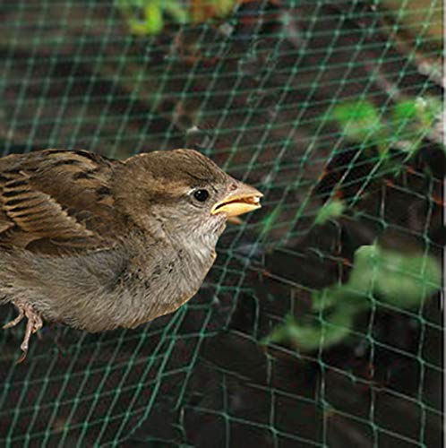 Riegolux 601520 Vogelschutznetz, 4 x 5 m von RIEGOLUX