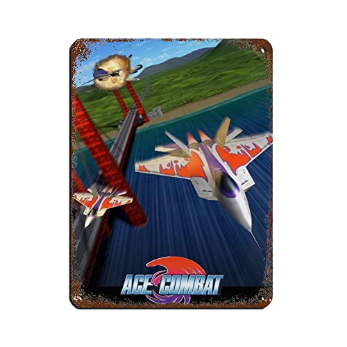Ace Combat Game 25 Retro-Poster Metall-Blechschild Chic Art Retro Eisen Malerei Bar Menschen Höhle Cafe Familie Garage Poster Wanddekoration 30 x 40 cm von RIELLI