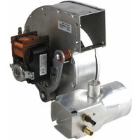 Gebläse 24 kW - RIELLO: 4050017 von RIELLO