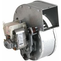 Gebläse - RIELLO: 4363730 von RIELLO