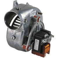 Gebläse - RIELLO: 4365341 von RIELLO